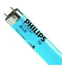 Philips MASTER TL-D 18W - Blauw | 60cm