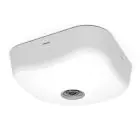 Ansell LED Noodverlichting Falcon Vluchtroute en Publieke Ruimte Wit 3W 153lm 135x17D en 43D - 865 Daglicht | IP65 - 3 uur Noodverlichting - Testknop